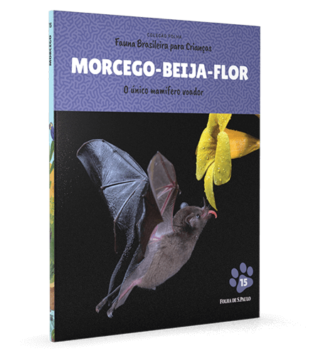 Morcego-beija-flor 